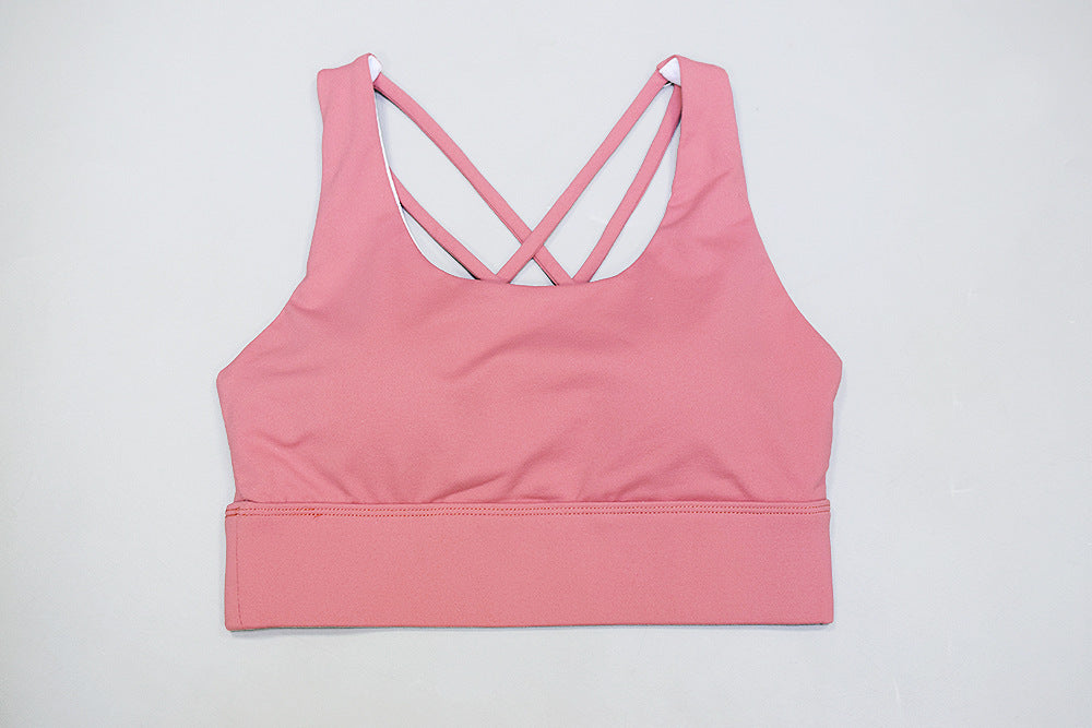 Sports bra female fitness