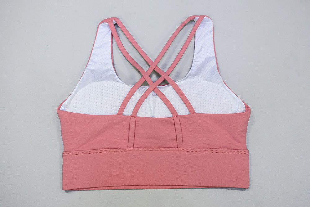 Sports bra female fitness