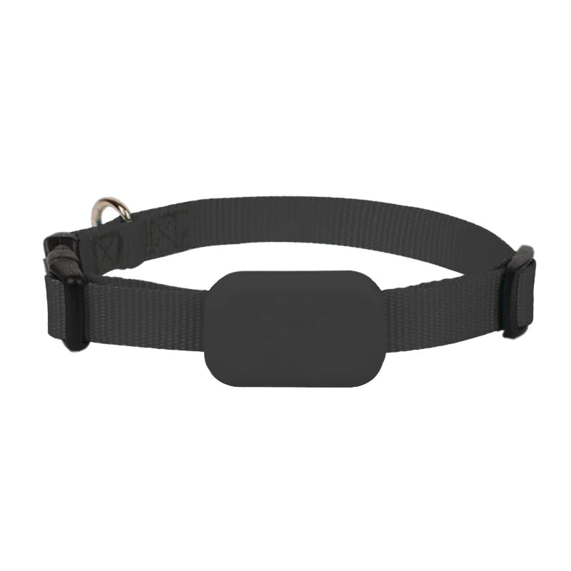 VIvid Living Smart-GPS Pet Collar